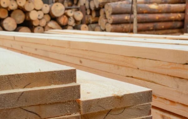Hardwood Supplier in Dubai, UAE - Timber Valley Trading LLC