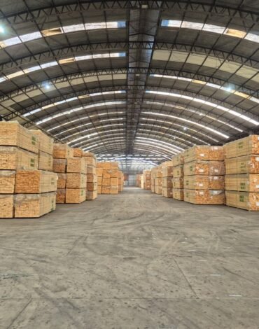 BRAZILIAN WOOD Supplier in UAE