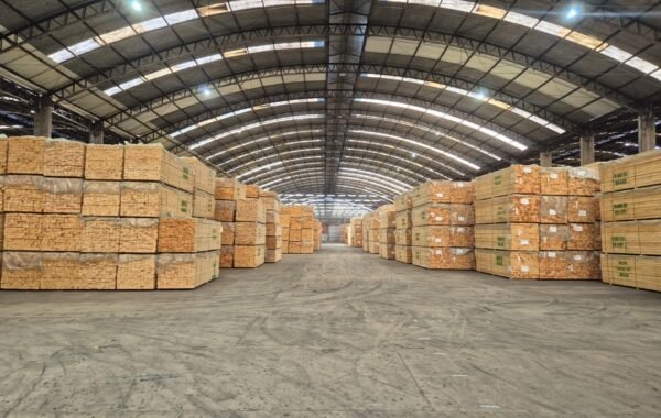 BRAZILIAN WOOD Supplier in UAE