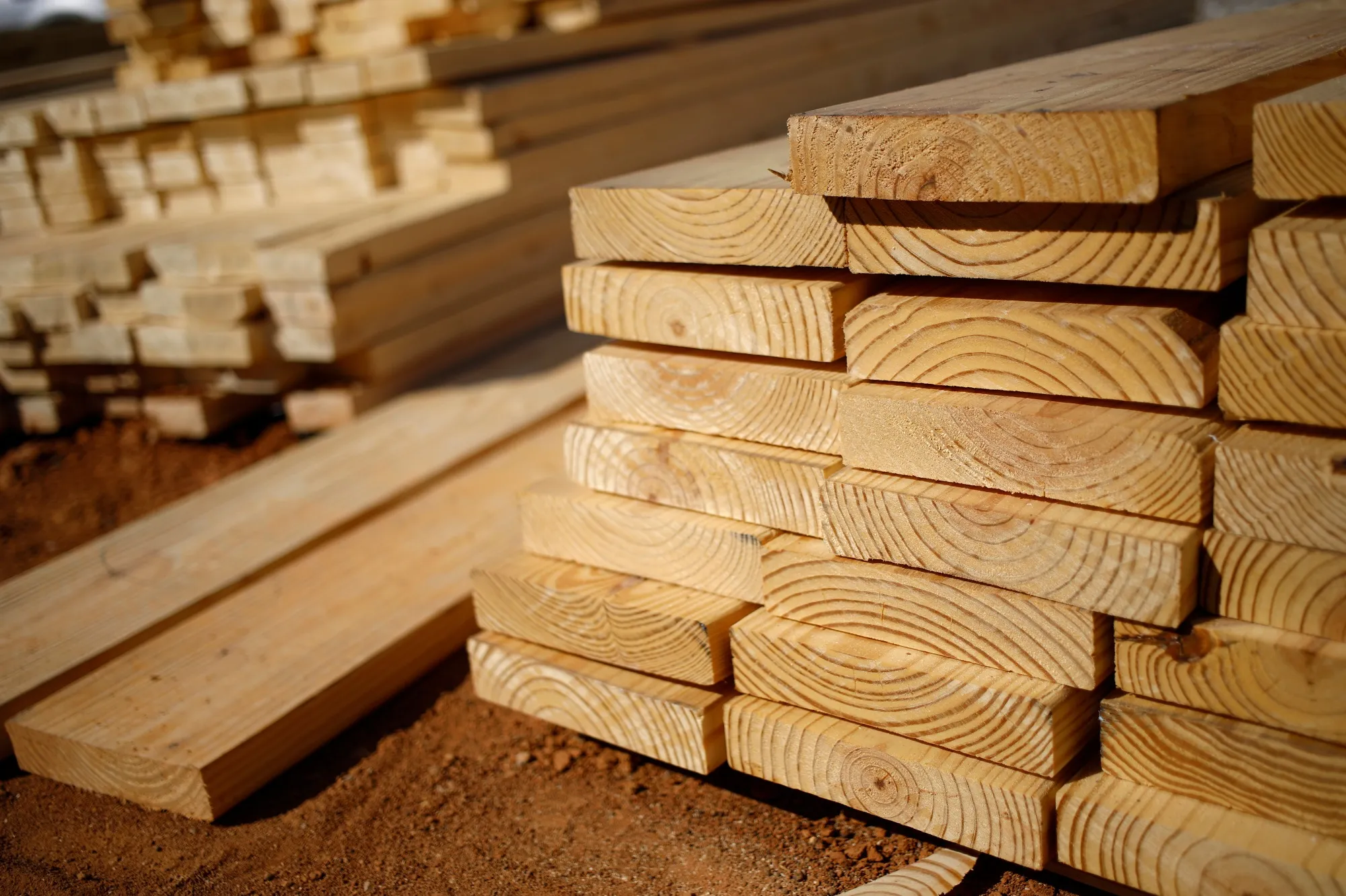 Canadian Wood Supplier in UAE